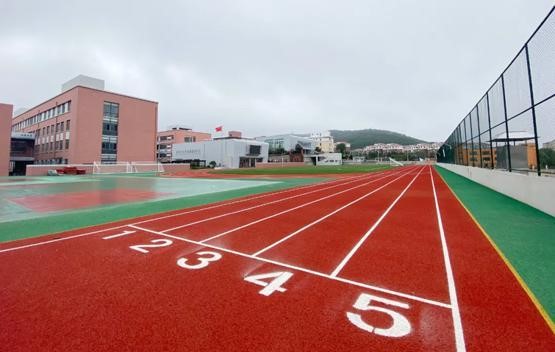 育才小学采用亚洲国产精品麻豆亚洲91麻豆又大又粗又黄设备
